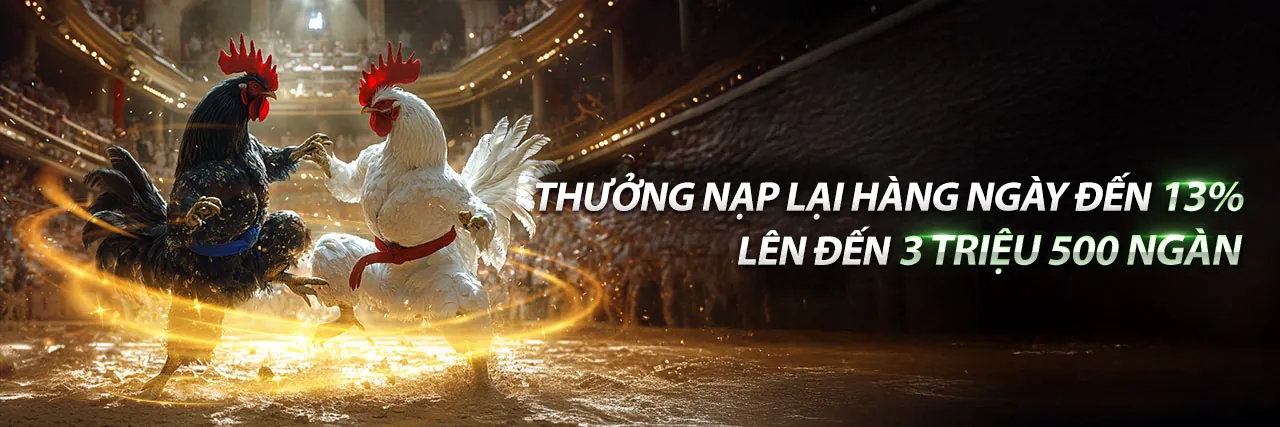 Đá gà đòn hôm nay tại TG88
